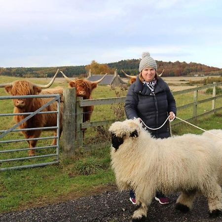 Glampods Glamping Pod - Meet Highland Cows And Sheep Elgin Villa Ngoại thất bức ảnh
