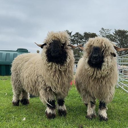 Glampods Glamping Pod - Meet Highland Cows And Sheep Elgin Villa Ngoại thất bức ảnh