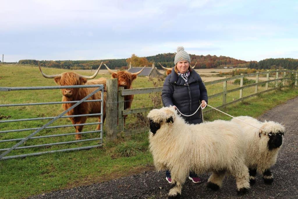 Glampods Glamping Pod - Meet Highland Cows And Sheep Elgin Villa Ngoại thất bức ảnh